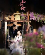 Love of Petals (2025)