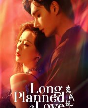 Long Planned Love (2025)