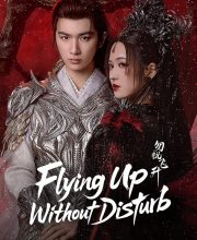 Flying Up Without Disturb (2025)
